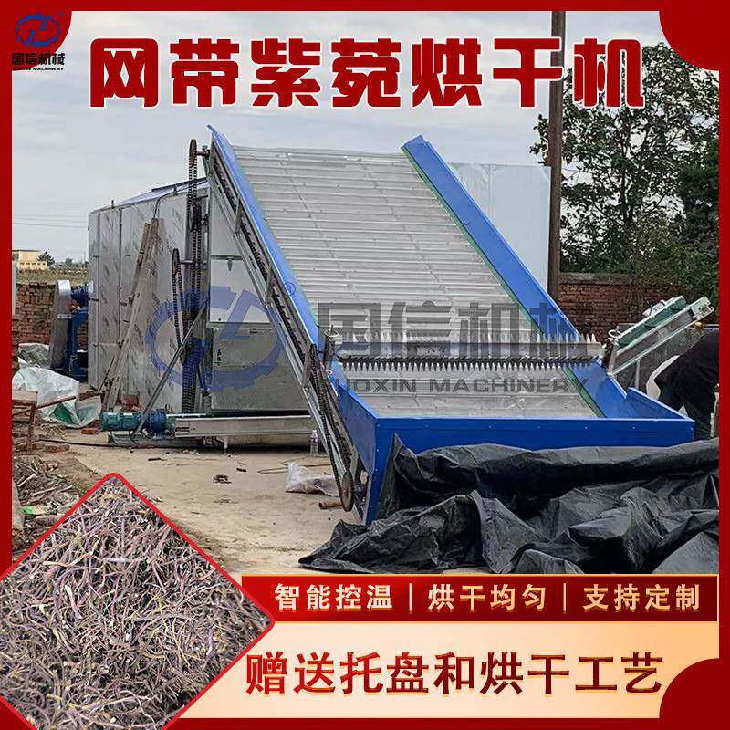 网带紫菀烘干机款冬花返魂草紫菀草须根干燥机紫菀**烘干设备