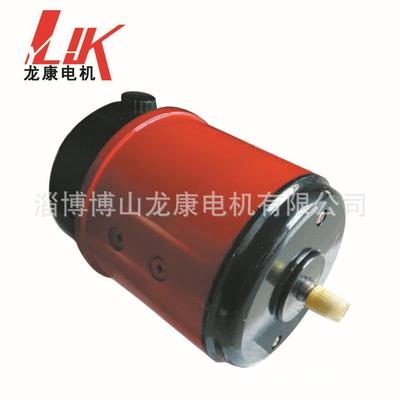 直流电机S系列SZ系列伺服电机他励电机S569110SZ06110SZ08S261