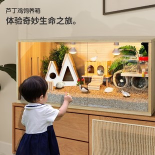 芦丁鸡饲养箱笼子卢丁鸡养箱造景宠物小鸡专用箱幼鸡的保温箱鸡窝
