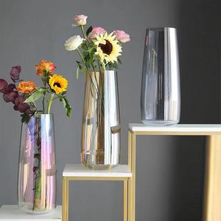 龙柳花瓶璃透明干高款插花条长枝干支柳柳枝插龙柳枝鲜枝枝玻炮弹