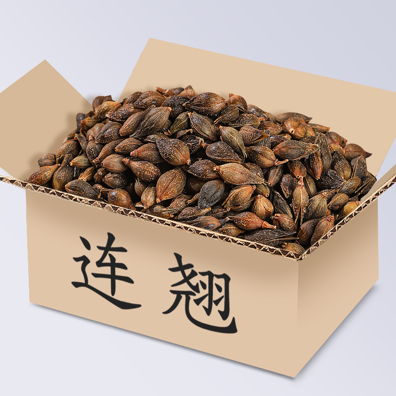 云南野生连翘中草药连翘野生连翘青翘连壳黄翘连翘茶泡水泡茶
