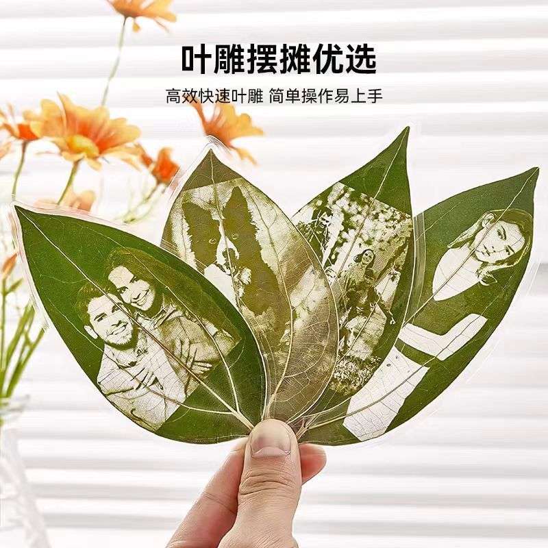 树叶激光雕刻机手机夜市网红同款摆摊创业小型打标全自动打印照片