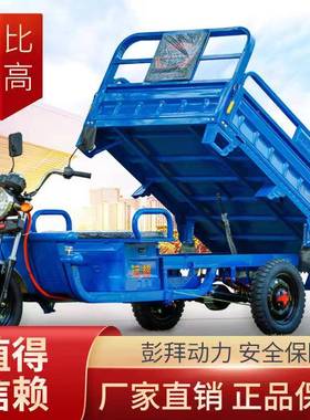 电动三车拉货载重王摊新家用电瓶车款快递车摆三轮农用车RYC新轮
