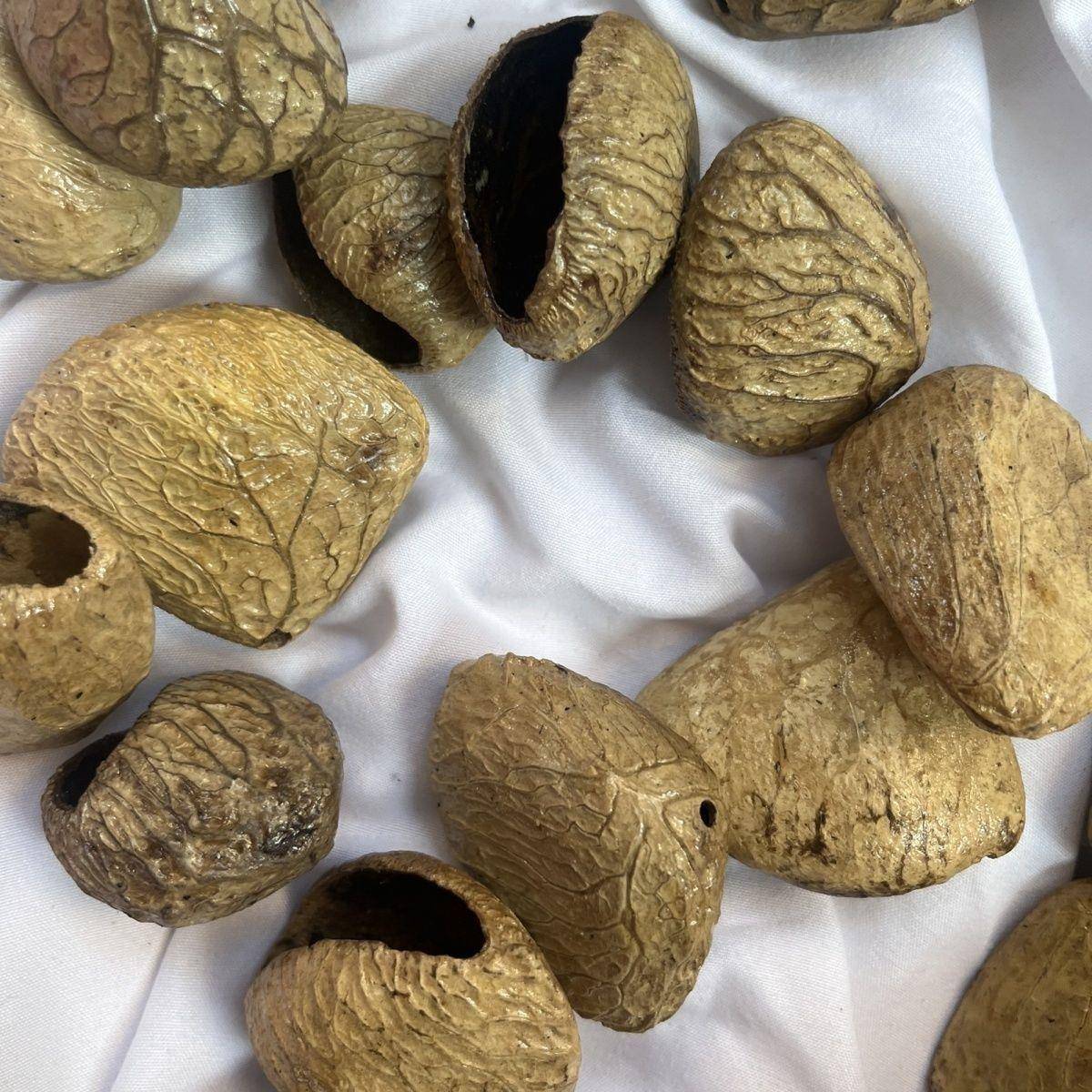 印尼果黑果果风铃果壳手D网红一件I工壳Y果壳手工编织一件起批壳