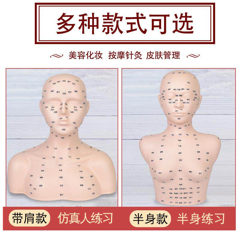 手法练习模特院按摩练脸手头模具皮373理肤管洗假人模头模型