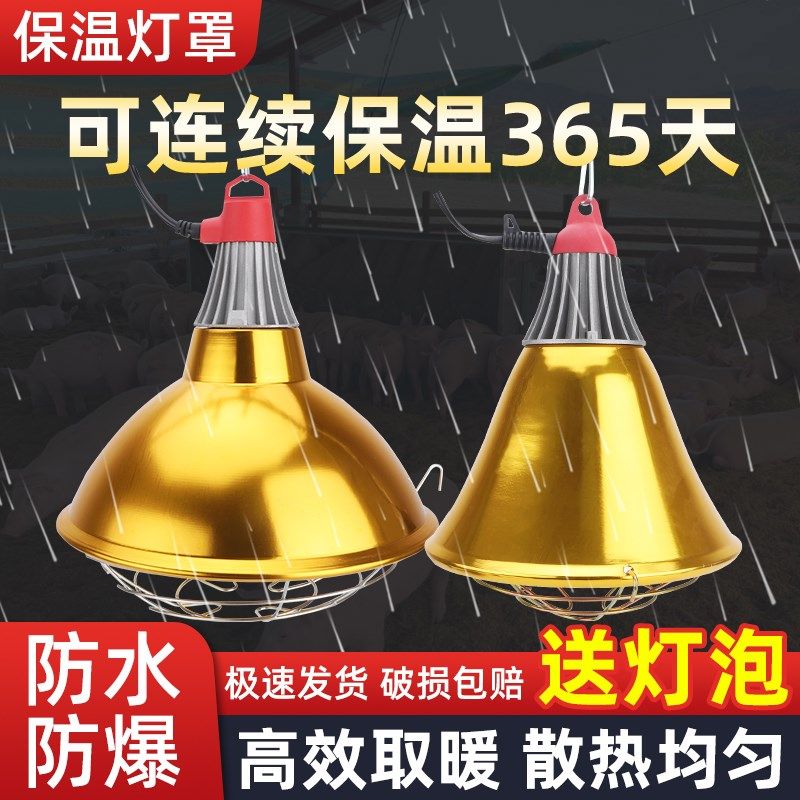 猪用保温灯罩养殖场专用取暖灯小鸡育雏加热控温防水仔猪保温灯泡,畜牧/养殖物资,畜牧/养殖器械,淘宝优惠券,粉丝福利购,淘宝优惠卷