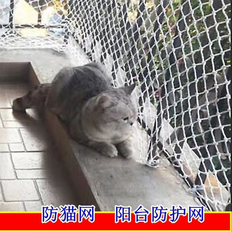 防猫网阳台防护网高强绳网平网工地防坠网3公分小孔网1.5*6米/张