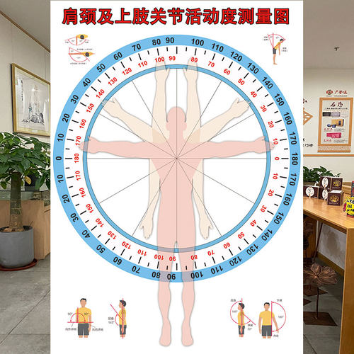 肩颈上肢关节活动度检测图墙纸医院诊所关节活动度测量评估表壁画