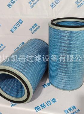 除尘滤筒滤芯P034302 除尘滤筒P033960粉末回收聚酯滤筒P196121