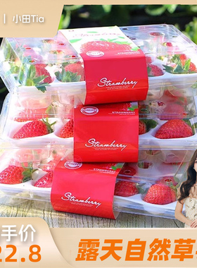 【小田tia推荐】2025四川大凉山露天自然熟草莓奶油草莓