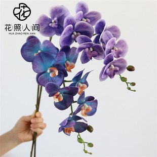 高品质手感保湿蝴蝶兰仿真花白色花艺花材婚礼假花装饰家居摆设摄