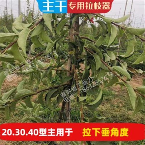 果树开角器拉枝器别枝器压枝器园林果树专用定型器密植园