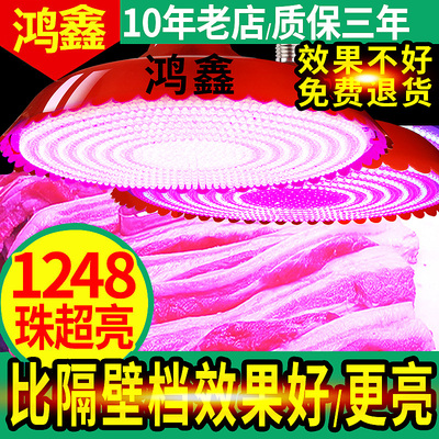 鸿鑫1248珠白心加大亮微红led生鲜猪肉灯冷鲜肉海鲜熟食超市水果