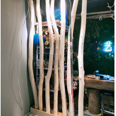 原木白桦木树干杉木去皮树干实木架子装饰隔断造型树干造景猫爬架