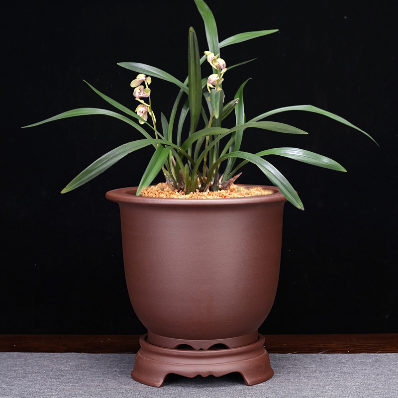 紫砂兰花盆古典精品简约桌面地面花卉绿植君子兰绿萝吊兰