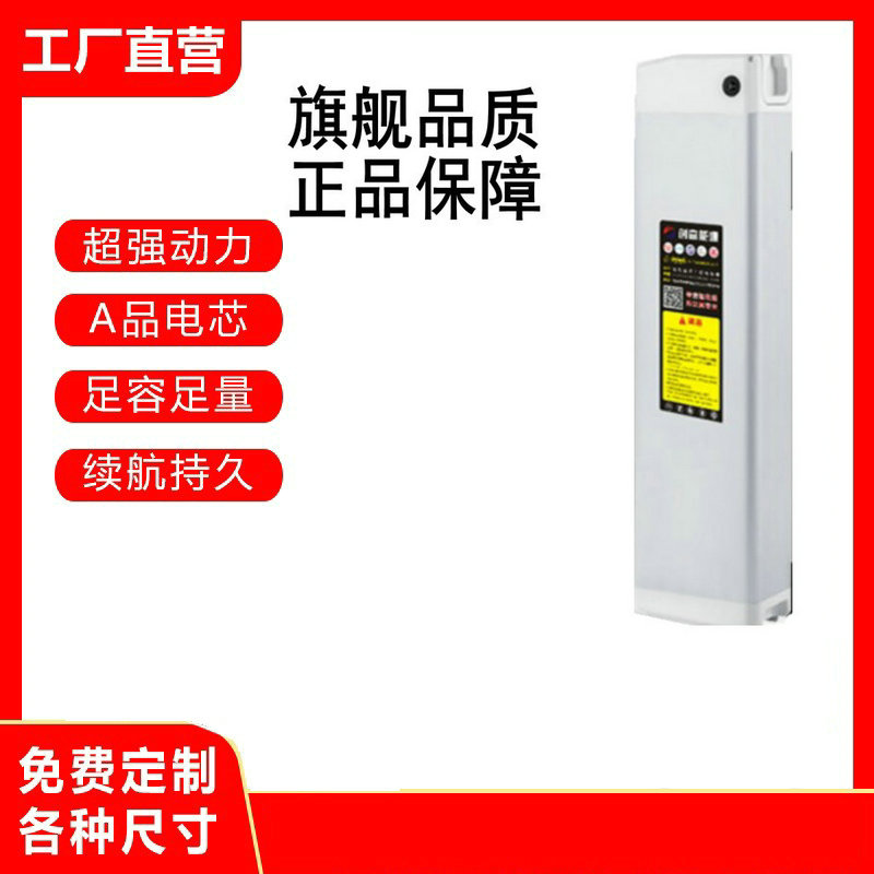 创赢锂电池8V0V锂电充电器电动车