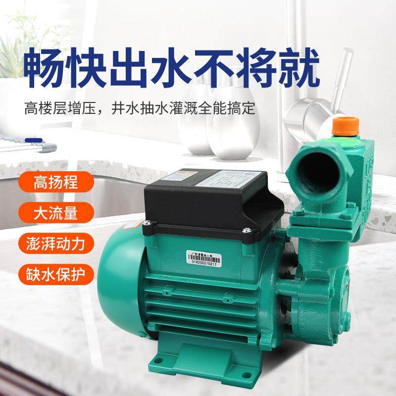 凌霄水泵1DZ清B35-/45/65抽机污水泵自来水井1DB-35220V自吸水增