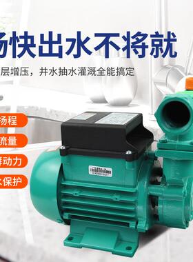 凌霄水泵1DZ清B35-/45/65抽机污水泵自来水井1DB-35220V自吸水增