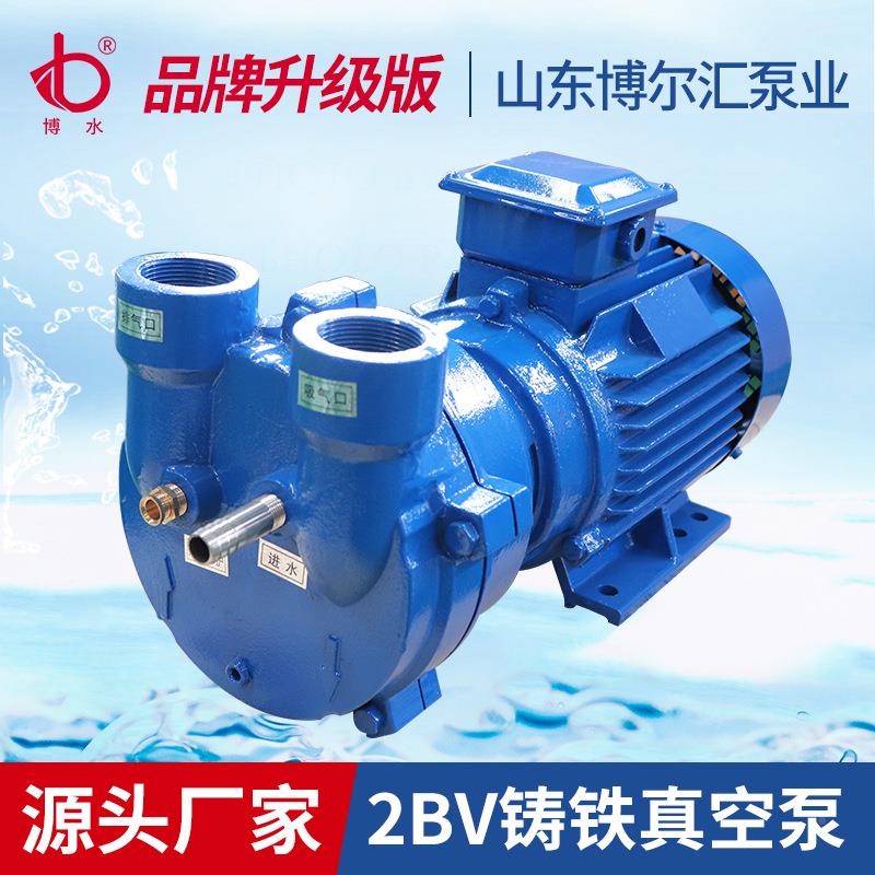2V水环式真空泵2B厂V071真空泵铸B铁不锈钢抽FDP2气泵淄博家