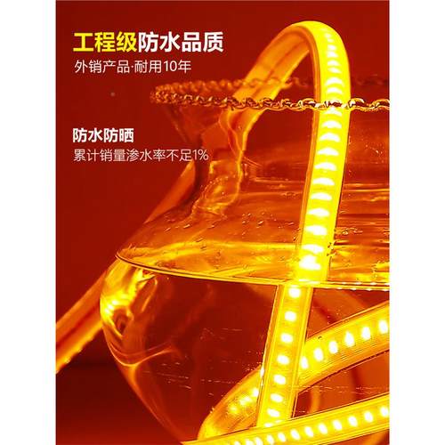 Casamb客ied灯l带超亮户外防水220v厅外光墙专用工程氛围灯暖百米