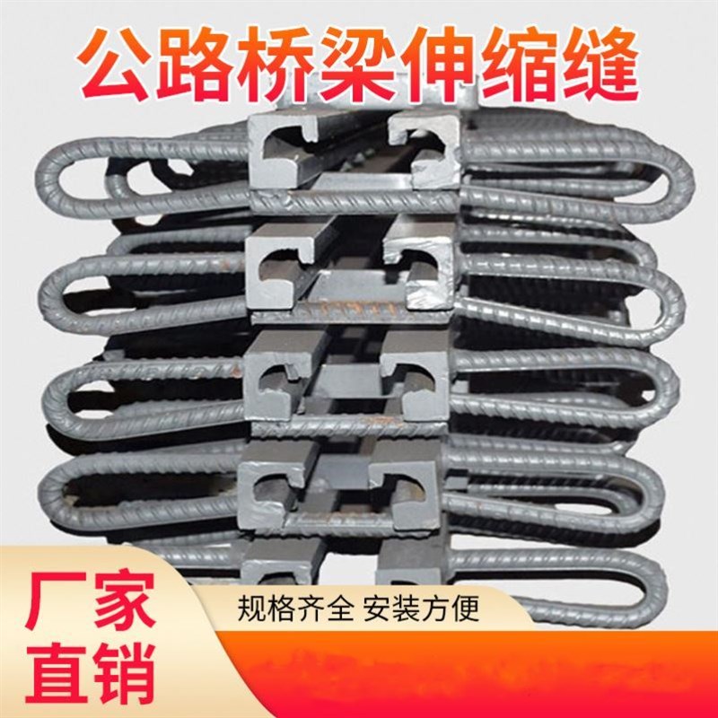 异型桥梁伸缩缝伸缩缝胶条橡胶支座镀锌拉链式C40型F60型D80型