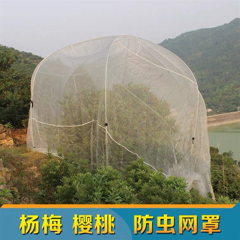 果树防虫网罩子嘉宝果树网莲雾果罩子养殖防鸟蔬菜大棚防虫用的网