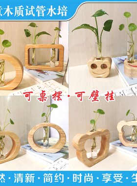 创意桌面试管水培绿植实木摆件透明玻璃试管花瓶艺术插花可墙壁挂