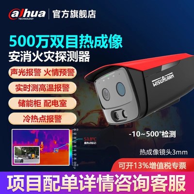 大华热成像摄像头监控器500万POE工业红外热像测温仪-10~500