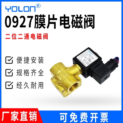 220V电磁阀常闭24直拉放水气油0927000/100/200/300