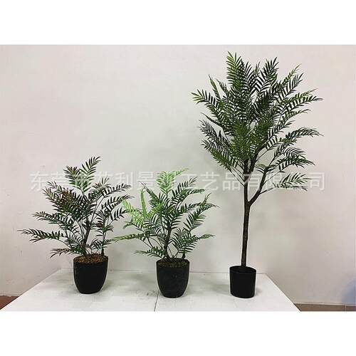 009-08-0栽盆蕨树树马尾蕨草家居装饰波斯草绿植造人塑料假树盆景