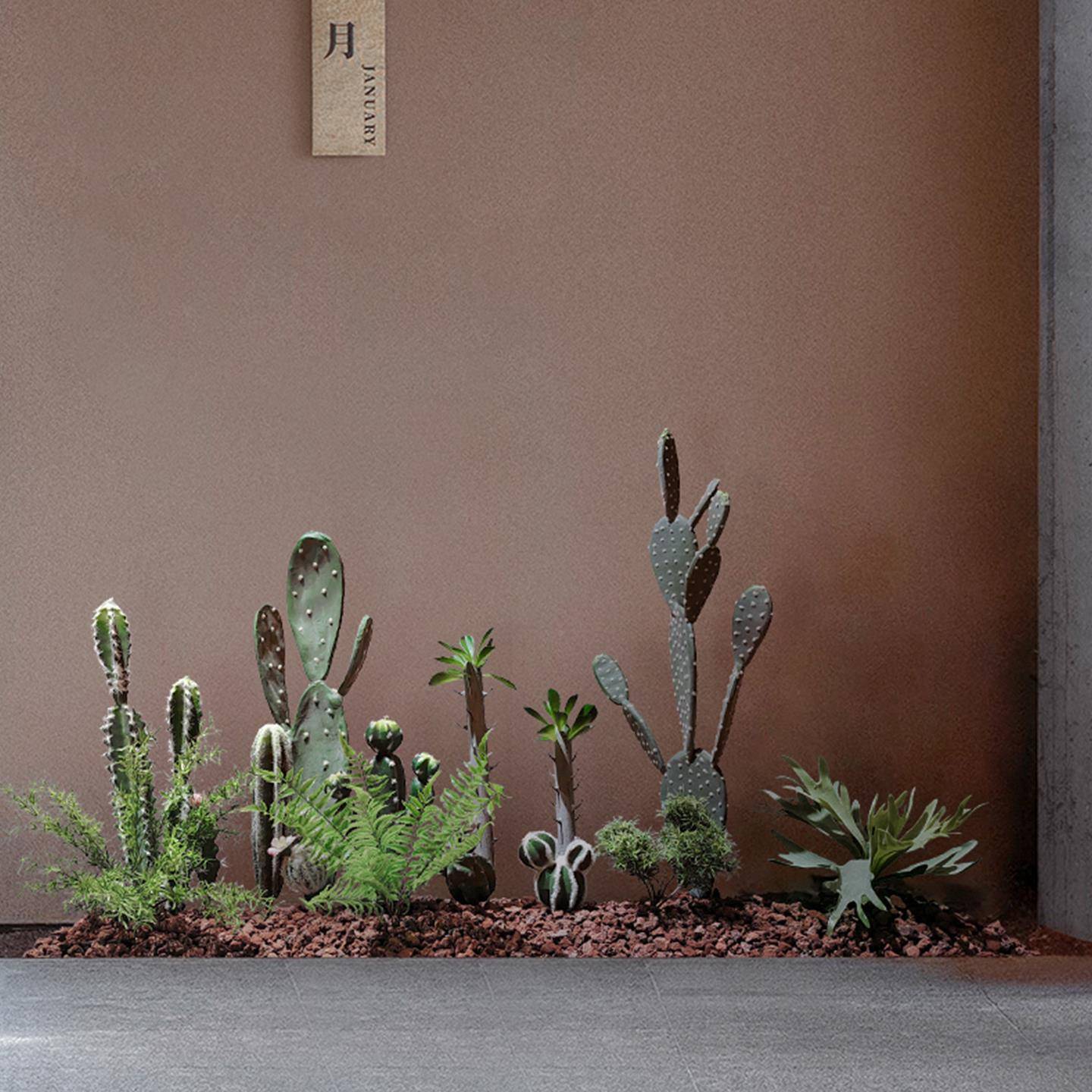 森摆空间装仿真绿植造漠景热带沙仙人掌造景观仙人掌植物玄关角落