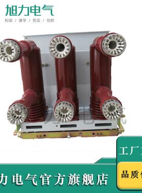 V7S1户内永磁真断路器ZN3-12/1空250-25MQY010KV柜宽80MM