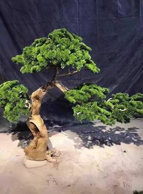 新中装式仿真装迎客松假38552树树样板间软商场酒店景观饰大型松