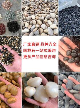 白色石鹅404子雪花白砾石石水洗头园庭林装饰院造景铺路透水材料