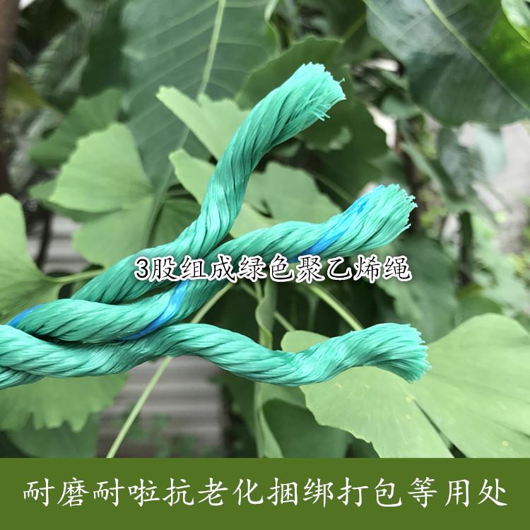 绑1-2棚4mm绳子大捆绳尼龙绳子绿色塑料PJQ绳货车绳聚乙烯绳绳粗
