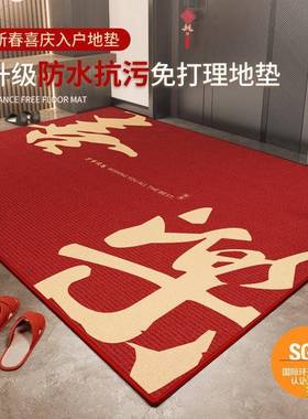 ?入F$p$p^lx户地垫2门0新款感进大门口耐5脏防滑地毯家2用红色玄
