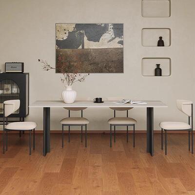 舒拿梵铁餐桌德利丰洞石1024#铝岩板端简约中古长方形餐桌极简意