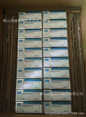 K特OYO陶瓷轴承·EXSEV轴承E6006ZPOYZTPRC3YS殊环境用S轴S承系列