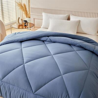 025水洗纯化纤春棉秋被单FYWN0522双人简约色冬被四2季通用被芯被