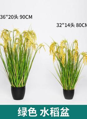 真水稻麦穗栽农家田园风乐高粱小麦仿真植物盆RJ21190舞仿台布景