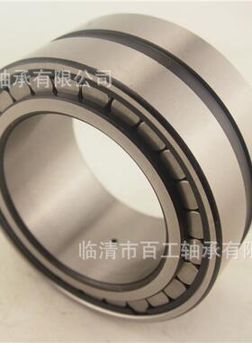 满装圆柱滚子轴承SL04NNFXIF5011230456789PPADA-2LS