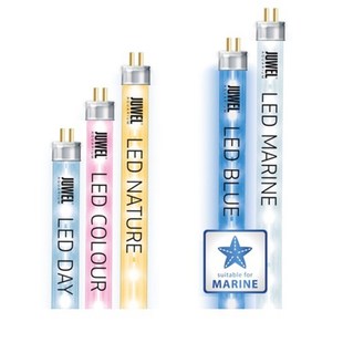 红光 LED灯管 蓝光 白光 590mm 德国黑钻JUWEL鱼缸专用 黄光