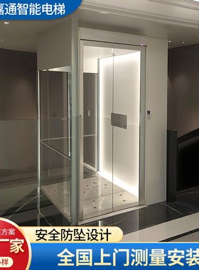 智能家用电梯二层三层液压曳引室内室外阁楼复式观光小型别墅电梯