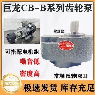 B20 B10 巨龙齿轮泵 B25 B50 B40 B2.5 B63 B32 B16