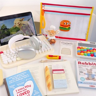 今日心情网面A4文件袋孕期体检收纳册产检册子记录册检查单收纳袋