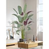 北欧大型彷生绿植彷真植物飞羽竹芋假树盆栽室内客厅落地装 饰造景