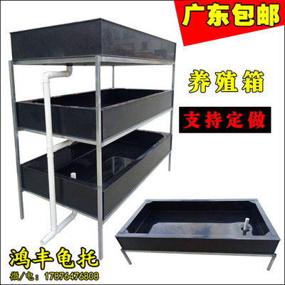 龟箱冷水箱温室养殖龟池养龟缸PP板乌龟托鱼缸水箱支持定做
