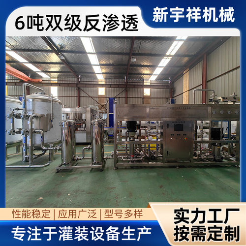 6吨双级反渗透直饮水处理设备