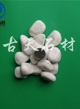 白色石子花园用鹅卵石庭院铺路铺地小白石头枯山水造景景观白石子