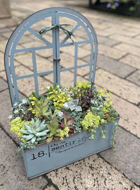 古做花旧铁艺小窗户复花盆壁挂花器多肉组盆寄植园阳台杂货F77TSJ